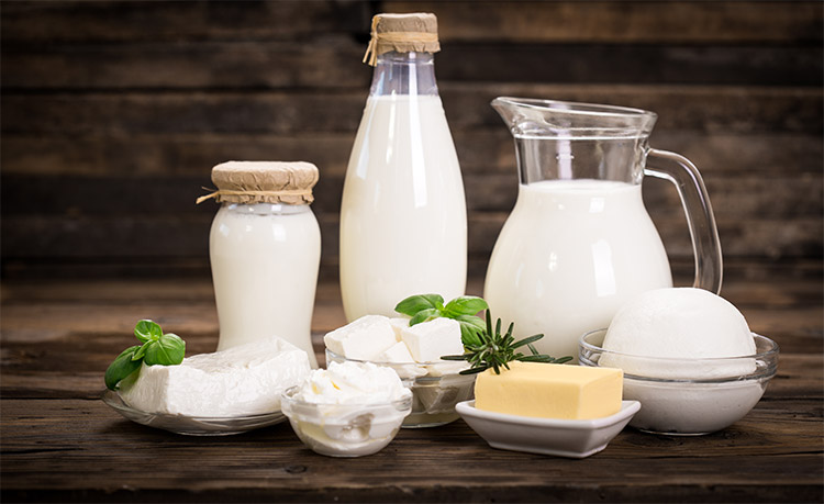 Ev yapımı fermente süt ürünleri mayaları.